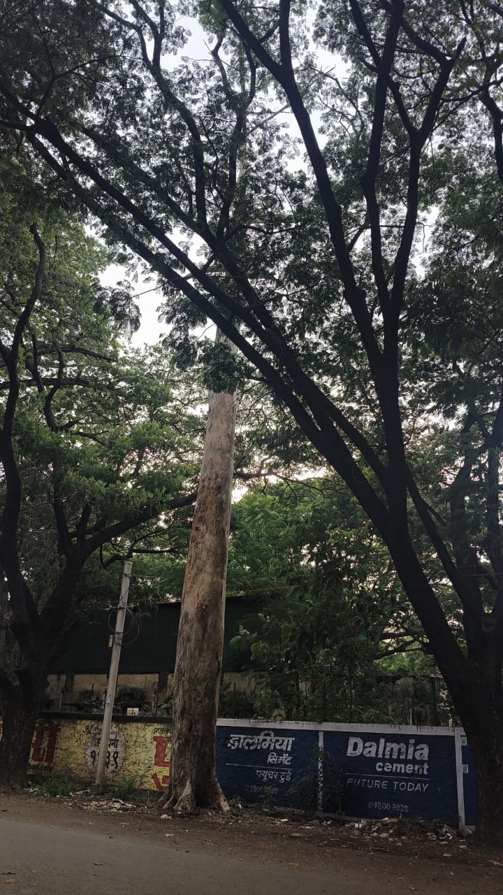 post